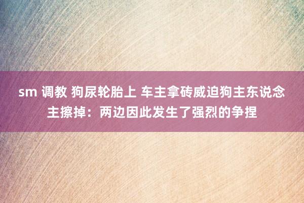 sm 调教 狗尿轮胎上 车主拿砖威迫狗主东说念主擦掉：两边因此发生了强烈的争捏