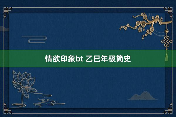 情欲印象bt 乙巳年极简史