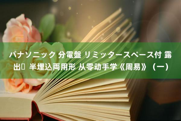 パナソニック 分電盤 リミッタースペース付 露出・半埋込両用形 从零动手学《周易》（一）