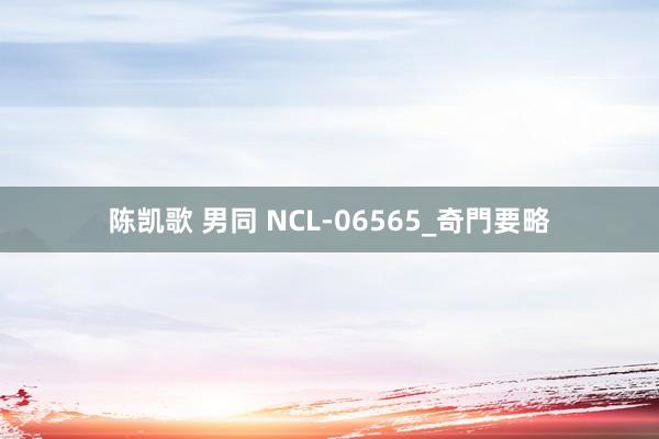 陈凯歌 男同 NCL-06565_奇門要略