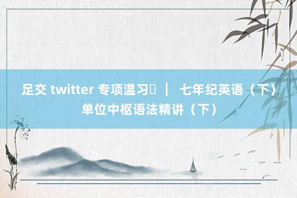 足交 twitter 专项温习 ▏七年纪英语(下)单位中枢语法精讲(下)
